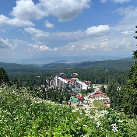 Arboro Borovets Gardens E68 Exterior foto